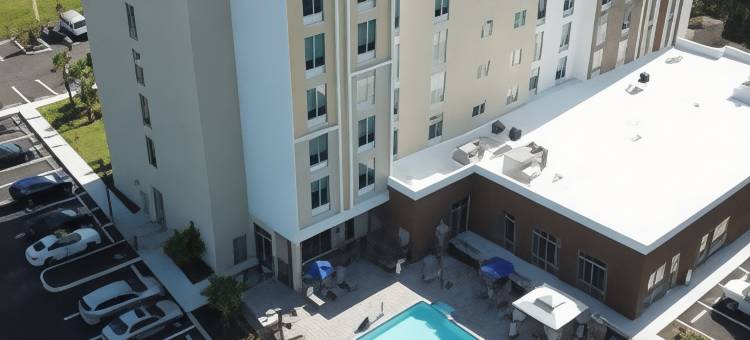 佛罗里达坦帕 - 韦斯利查普尔希尔顿花园酒店(Hilton Garden Inn Tampa - Wesley Chapel)图片