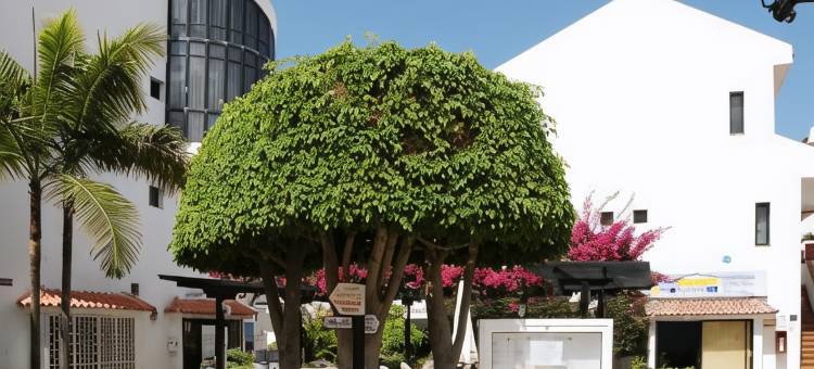 克里斯蒂安苏尔公寓酒店(Apartamentos HG Cristian Sur)图片