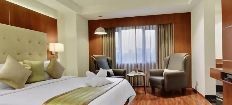 因希斯舒适酒店(Comfort Inn Insys)图片