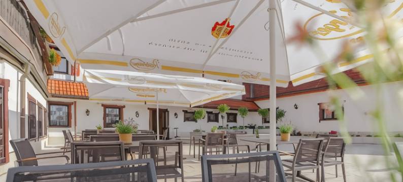 弗劳恩施泰因霍夫酒店(Hotel Frauensteiner Hof)图片