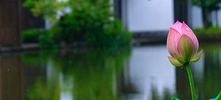 九华山花间堂·涵月图片