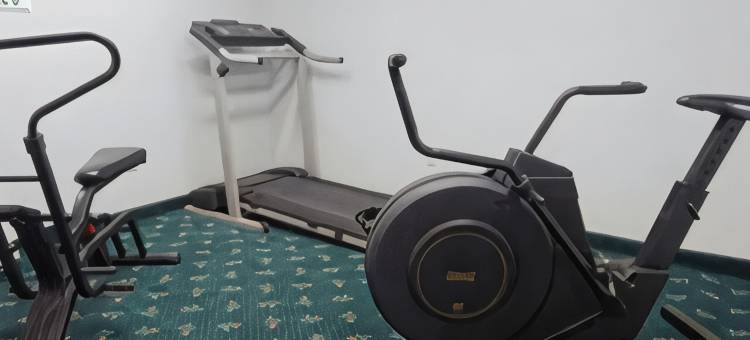法尔菲里厄斯高速公路281号伊克诺旅馆(Econo Lodge Falfurrias Hwy 281)图片