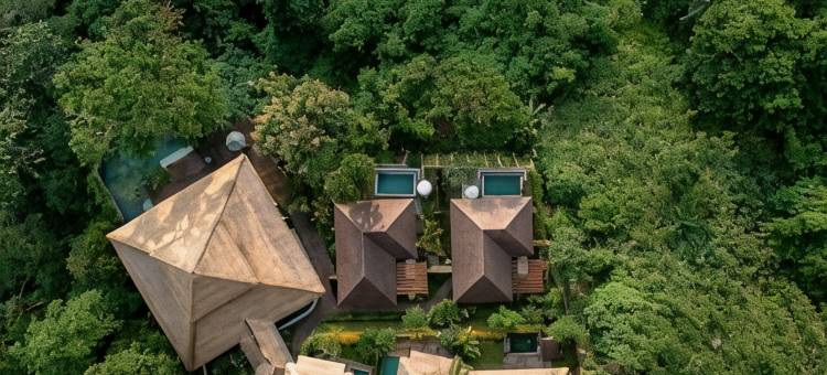 那图拉自然水疗度假酒店(Natura Villa Ubud Bali)图片