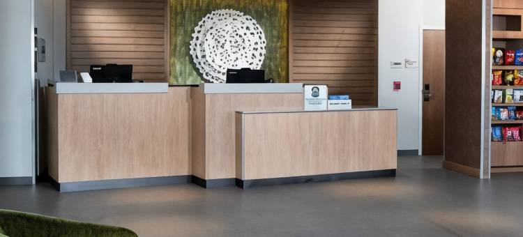 拉斯维加斯西北万枫酒店及套房(Fairfield Inn & Suites Las Vegas Northwest)图片