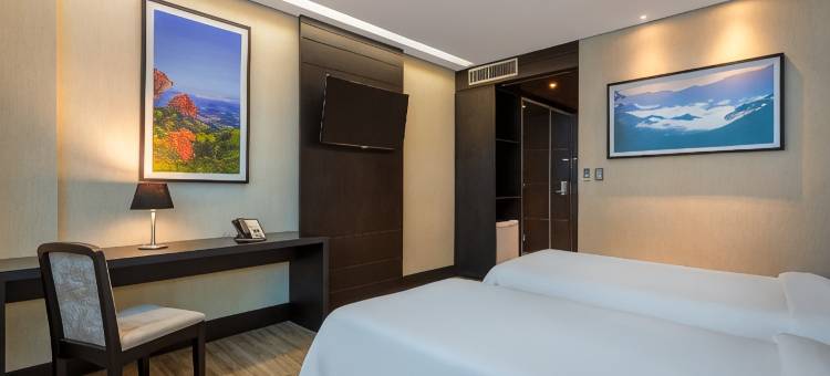 萨瓦西公园塔酒店(全国客栈集团)(Hotel Park Tower Savassi by Nacional Inn)图片