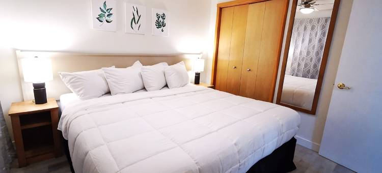 King Bed 1 bedroom apt AC, Gym cls to DT Canmore UG Parking incl. sleep 4图片