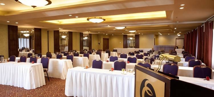 温哥华机场行政酒店(Executive Hotel Vancouver Airport)图片