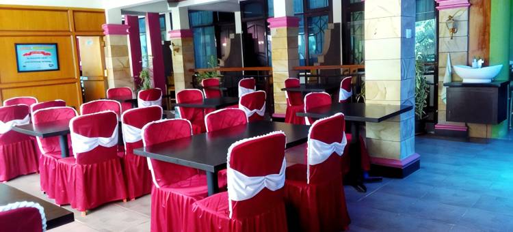 潘格兰酒店(Hotel Pangeran Padang Panjang)图片