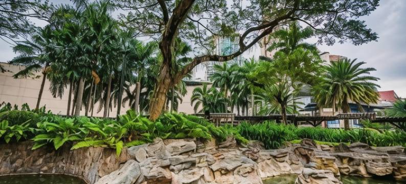 阿莫索罗公寓酒店(Amorsolo Mansion)图片