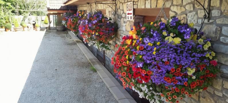 桥农场旅馆(Bridge Farm Guesthouse Rooms)图片