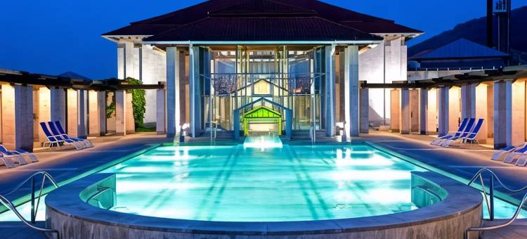 莱姆泰尔阿伦H+酒店(H+ Hotel Limes Thermen Aalen)图片