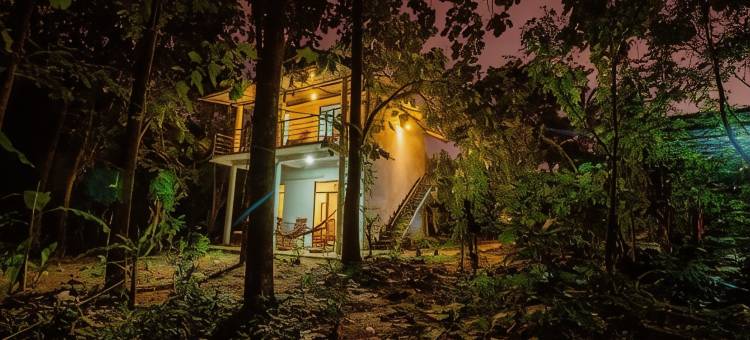 绿景野外度假村(Green View Safari Resort)图片