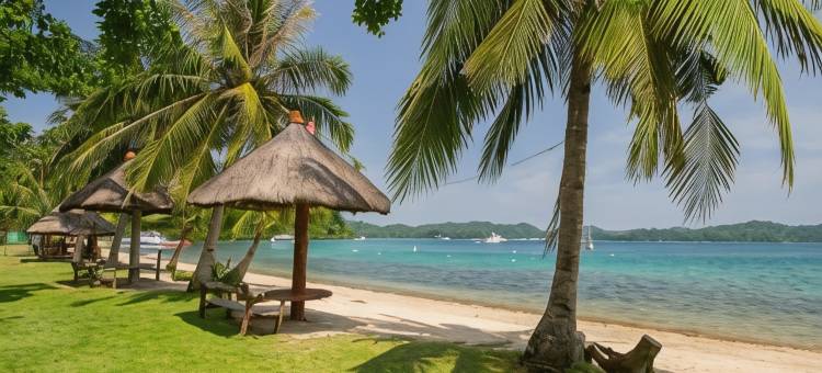海豚湾滨海潜水度假村(Dolphinbay Beachfront & Dive Resort)图片