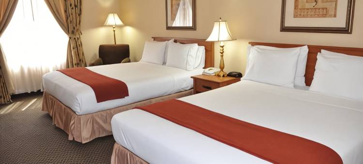 Holiday Inn Express 拉斯维加斯内利斯(Holiday Inn Express LAS VEGAS-NELLIS by IHG)图片