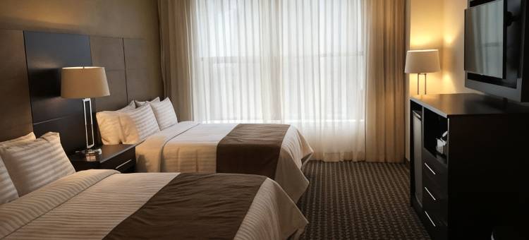 墨西哥城圣达菲假日酒店(Holiday Inn Mexico Santa Fe)图片