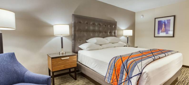 圣路易斯-柯林斯威尔德鲁里酒店(Drury Inn and Suites St Louis Collinsville)图片