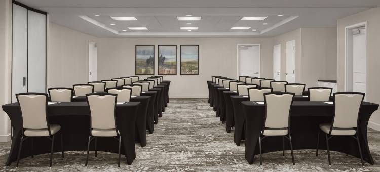 盖恩斯维尔希尔顿花园酒店(Hilton Garden Inn Gainesville)图片