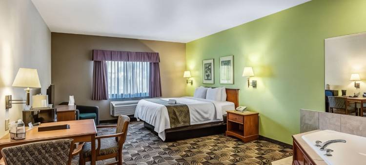 凯艺套房酒店(Quality Inn & Suites)图片