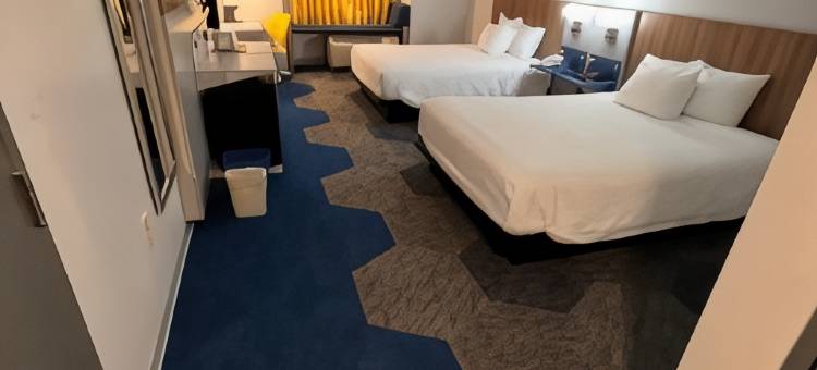 Microtel Inn & Suites by Wyndham Charlotte/Northlake图片