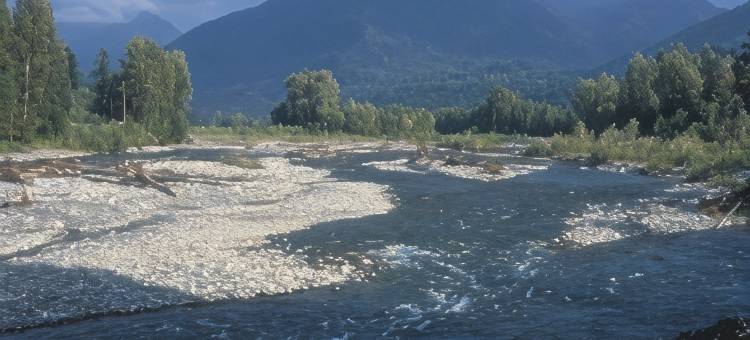 维德河酒店(Vedder River Inn)图片