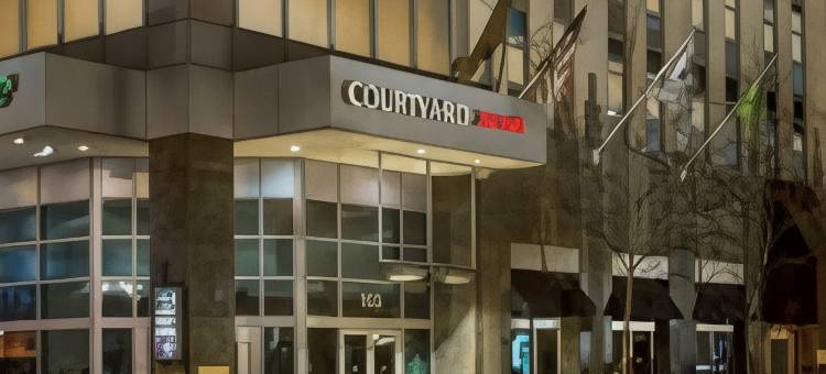 芝加哥市区壮丽大道万怡酒店(Courtyard Chicago Downtown/Magnificent Mile)图片