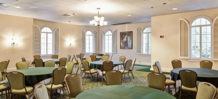 希尔顿安泊酒店-查尔斯顿历史区(Embassy Suites by Hilton Charleston Historic District)图片