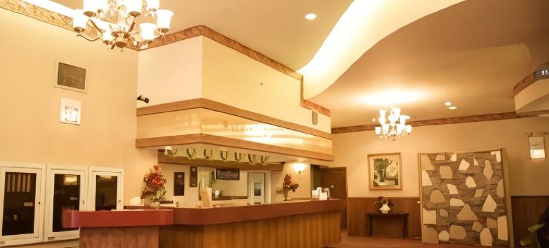 芝加哥Travelodge by Wyndham酒店(Travelodge by Wyndham Downtown Chicago)图片