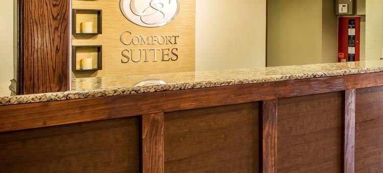 舒适套房酒店 - 近 I-80 及 I-94(Comfort Suites Near I-80 and I-94)图片