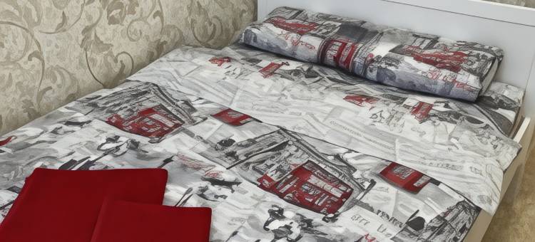 伦敦青年旅馆(London Mini-Hotel - Hostel)图片