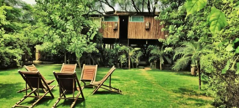 树屋度假村(The Tree House Resort)图片