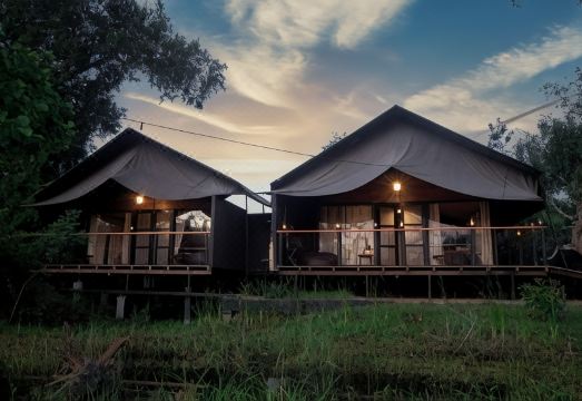 Leopard Trails YalaHotel Overview
