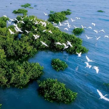 户外活动·海口+万宁+三亚6日寒假亲子营|亲近湿地生态圈·出海捞海星·火箭发射VR·摘椰子·椰林桨板·冲浪考证·咖啡制作·喂食魔鬼鱼·小众海岛2选1『寓教于乐』航天科普中心+南海博物馆