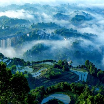 四川内江张大千纪念馆+隆昌隆昌石牌坊群+泸州泸州老窖景区+宜宾蜀南竹海+李庄文化旅游度假区+合江门+四川省宜宾五粮液酒厂+自贡燊海井+自贡·中华彩灯大世界+荣县大佛+乐山濠上大桥+三苏祠+江口沉银遗址9日8晚私家团