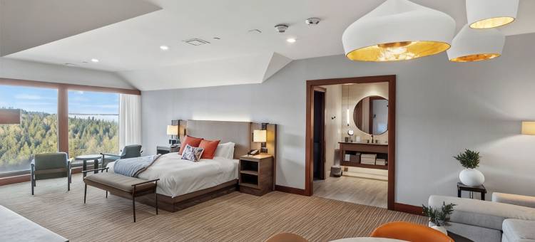 萨利希旅舍加Spa酒店(Salish Lodge & Spa)图片