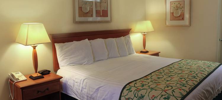 丽笙乡村酒店及套房，莫德斯托/萨利达(Country Inn & Suites by Radisson, Modesto-Salida)图片