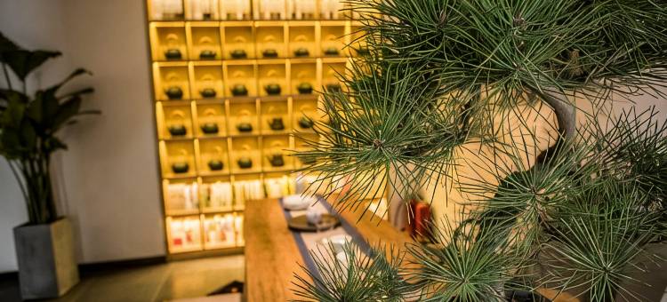仟那·汴园酒店(开封清明上河园万岁山武侠城店)图片