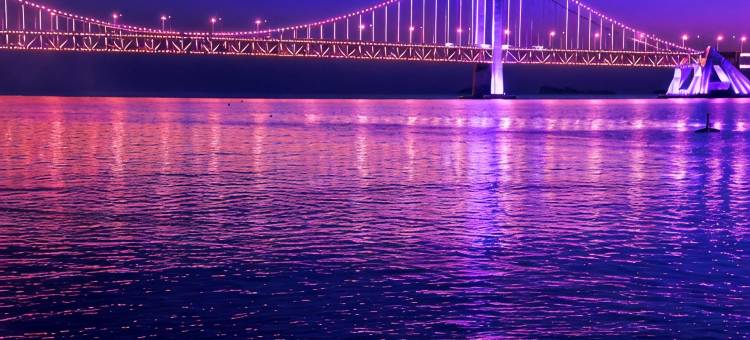 星海云水一舍民宿(大连星海广场地铁站店)图片