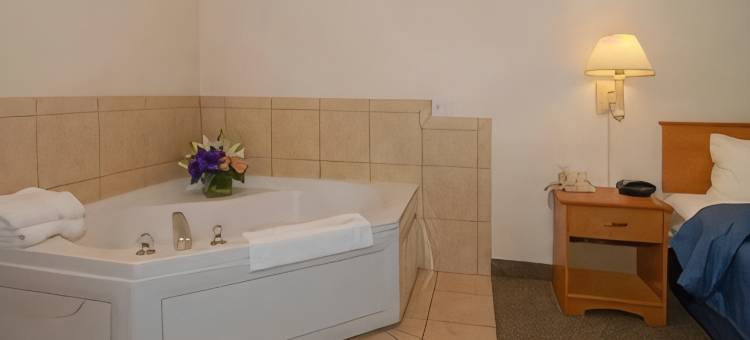 棕榈沙漠I-10号舒适套房酒店(Comfort Suites Palm Desert I-10)图片