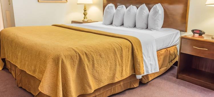 罗伊尔凯艺酒店(Quality Inn Royle)图片