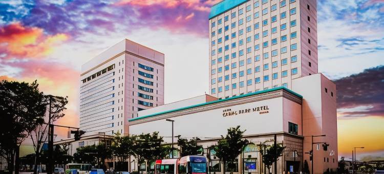 富山Oarks运河公园酒店(Oarks Canal Park Hotel Toyama)图片