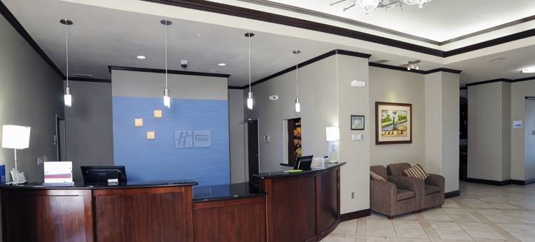 智选假日套房酒店塞金(Holiday Inn Express & Suites SEGUIN by IHG)图片