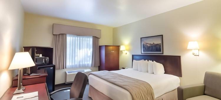 凯艺套房酒店(Quality Inn & Suites)图片