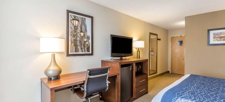 舒适酒店-盖瑟斯堡罗克维尔凉荫丛(Comfort Inn Shady Grove - Gaithersburg - Rockville)图片