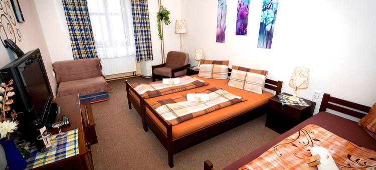 斯塔拉斯科拉酒店(Hotel Stará škola na Šumavě)图片