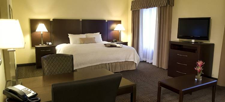 奥兰多约翰杨大路/南公园欢朋套房酒店(Hampton Inn & Suites Orlando-John Young Pkwy/S Park)图片