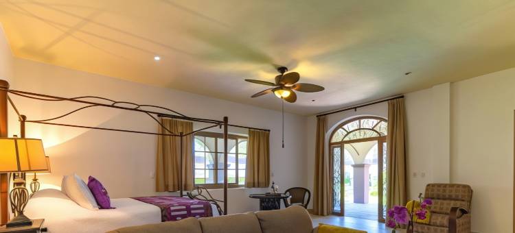 拉斯帕尔马斯之家，圣米格尔-德阿连德(Casa Las Palmas & Suites, San Miguel de Allende)图片