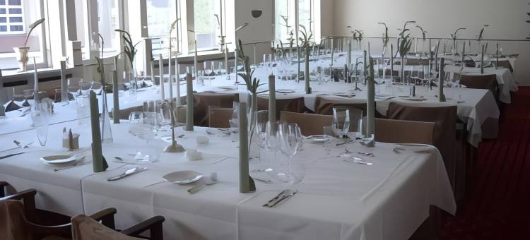 普尼克斯西灵酒店(Hotel Phønix Hjørring)图片