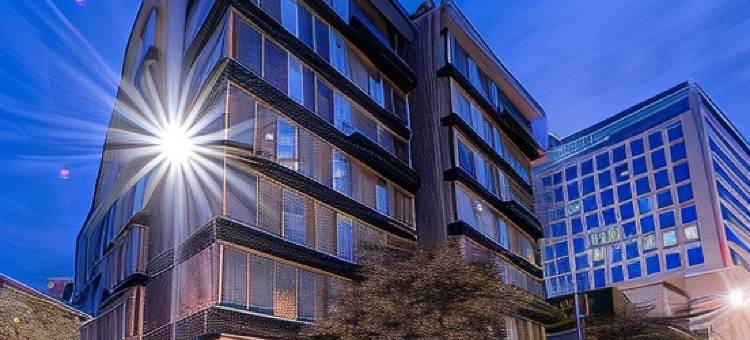 100 奢华套房 - 优选酒店(100 Luxury Suites)图片