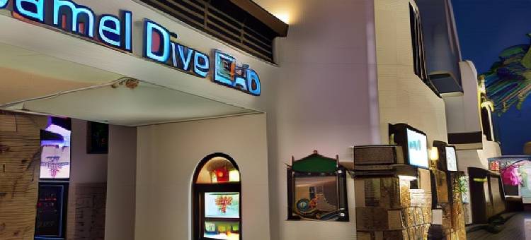 凯茂潜水俱乐部酒店 - 精品酒店(Camel Dive Club & Hotel - Boutique Hotel)图片