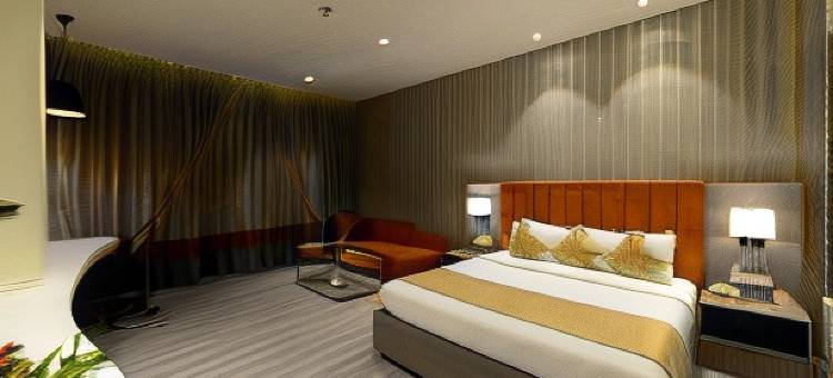 勒克瑙迪普克拉克斯旅馆酒店(Hotel Deep Clarks Inn Lucknow)图片